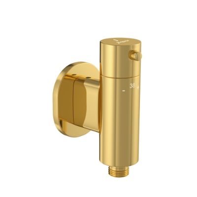 Picture of Exposed Part Kit of In-wall Thermostatic Valve - Gold Bright PVD 