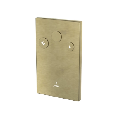 Picture of In-wall i-ﬂushing system - Antique Bronze