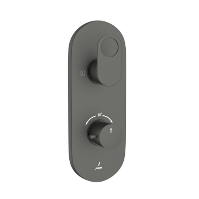 Picture of Aquamax Thermostatic Shower Mixer - Graphite