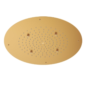 Picture of Duoflo Shower Round Shape - Gold Matt PVD