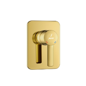 Picture of Exposed Part Kit of Single Lever In-wall Manual Valve - Gold Bright PVD