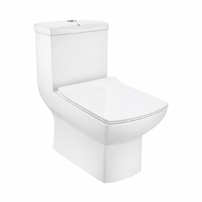 Picture of Rimless Single Piece WC