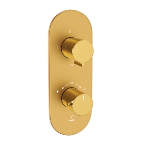 Picture of Aquamax Thermostatic Shower Mixer - Lever: Gold Bright PVD | Body: Gold Matt PVD