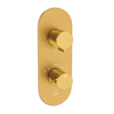 Picture of Aquamax Thermostatic Shower Mixer - Lever: Gold Bright PVD | Body: Gold Matt PVD